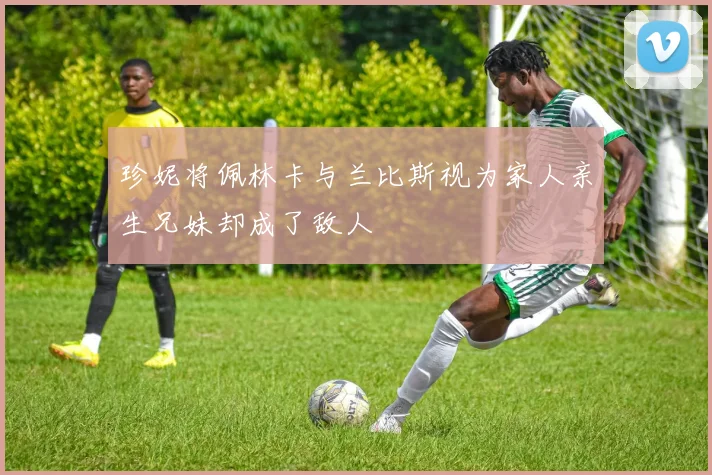 珍妮将佩林卡与兰比斯视为家人亲生兄妹却成了敌人